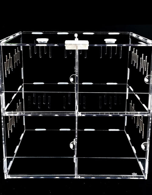 Load image into Gallery viewer, 4 Grids Acrylic Pet Lizard Crawling Box Reptile Tank Insect Spiders Lizard Breeding
