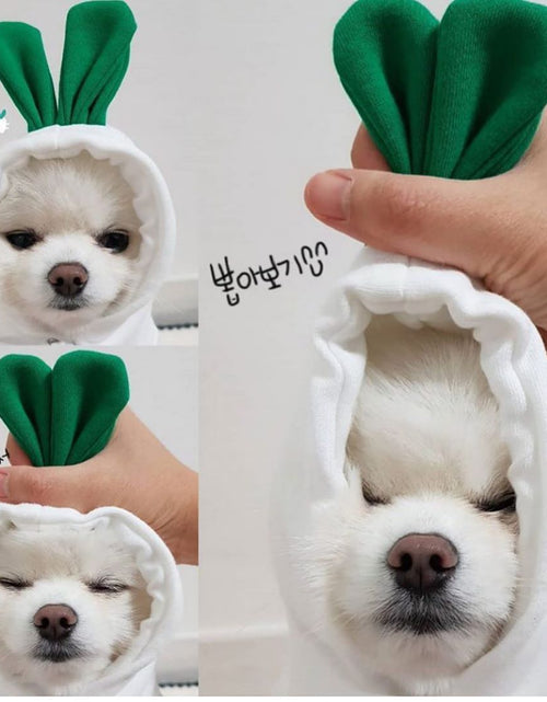 Load image into Gallery viewer, Cute Fruit Dog Clothes For Small Dogs Hoodies Winter Warm Fleece Pet Clothing Puppy Cat Costume Coat For French Chihuahua Outfit
