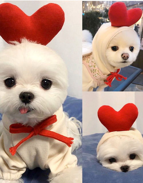 Load image into Gallery viewer, Cute Fruit Dog Clothes For Small Dogs Hoodies Winter Warm Fleece Pet Clothing Puppy Cat Costume Coat For French Chihuahua Outfit

