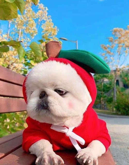 Load image into Gallery viewer, Cute Fruit Dog Clothes For Small Dogs Hoodies Winter Warm Fleece Pet Clothing Puppy Cat Costume Coat For French Chihuahua Outfit
