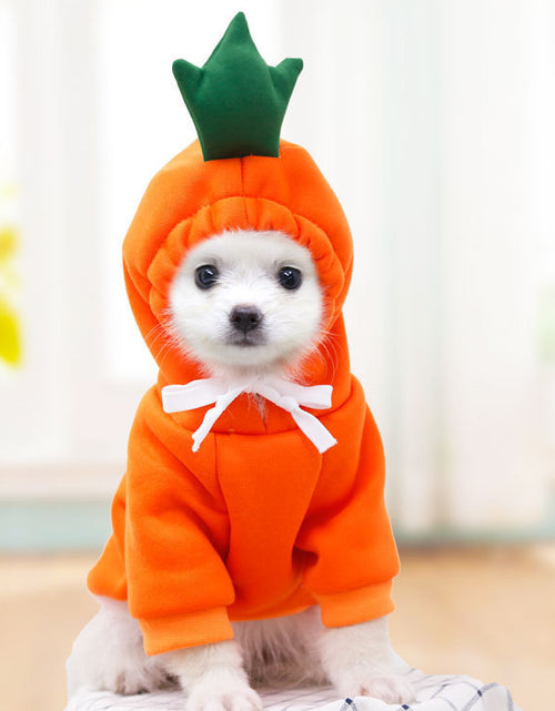 Load image into Gallery viewer, Cute Fruit Dog Clothes For Small Dogs Hoodies Winter Warm Fleece Pet Clothing Puppy Cat Costume Coat For French Chihuahua Outfit
