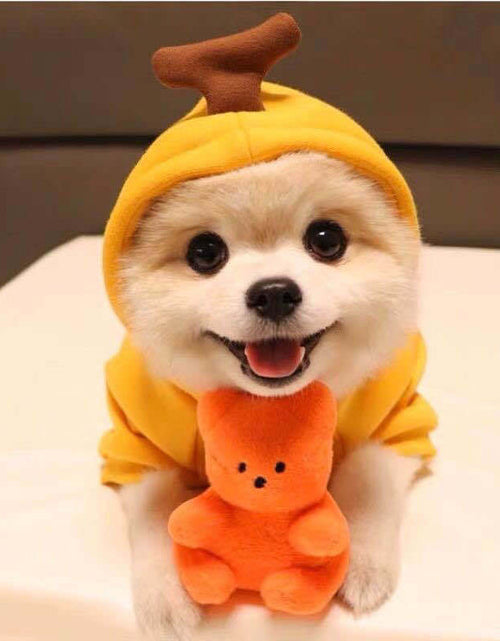 Load image into Gallery viewer, Cute Fruit Dog Clothes For Small Dogs Hoodies Winter Warm Fleece Pet Clothing Puppy Cat Costume Coat For French Chihuahua Outfit
