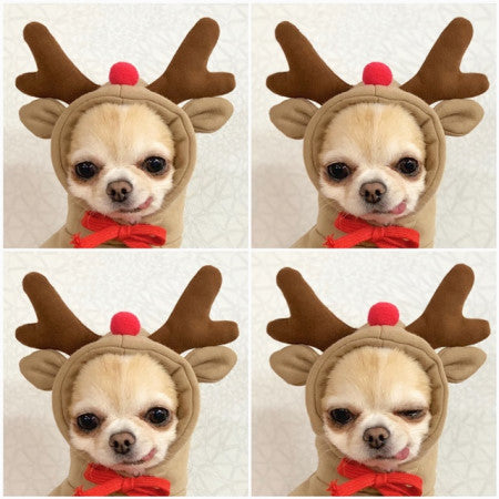 Load image into Gallery viewer, Cute Fruit Dog Clothes For Small Dogs Hoodies Winter Warm Fleece Pet Clothing Puppy Cat Costume Coat For French Chihuahua Outfit
