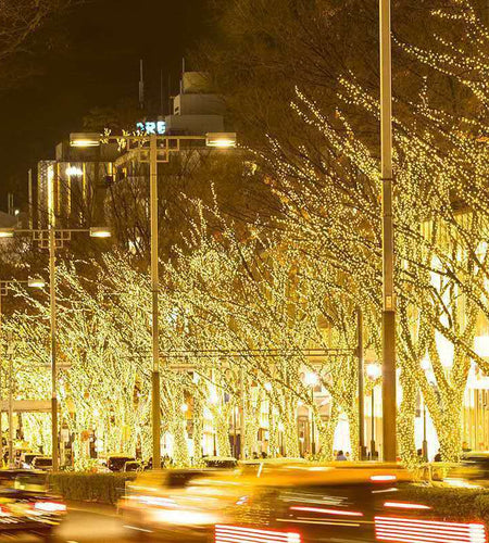 LED Lighting Chain Outdoor Street Decoration