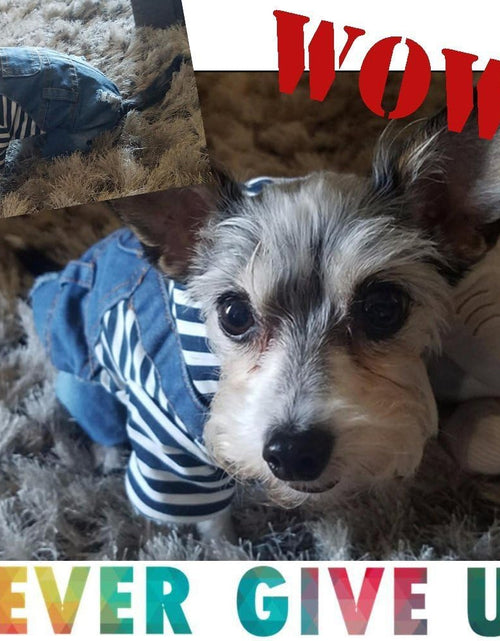 Load image into Gallery viewer, Pet Denim Jumpsuit Dog Jeans Hoodies Cool Blue Coat Medium Small Dogs Classic Jacket Puppy Blue Vintage Washed Vests (L)
