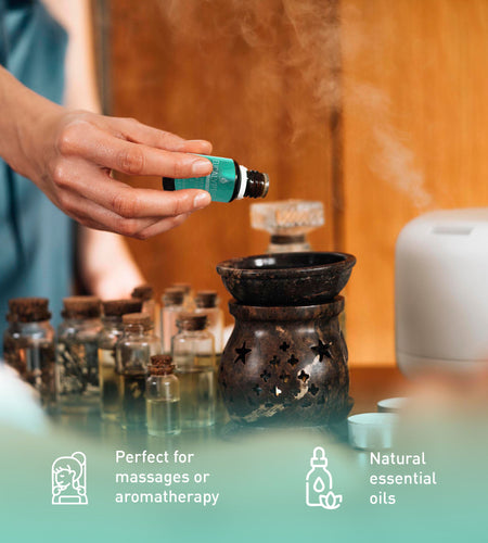 3 Pack Aromatherapy Essential oils (Lavender, Eucalyptus, Frankincense)