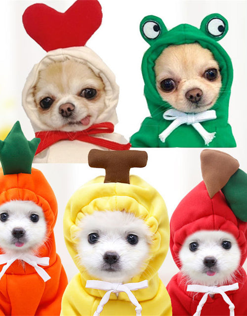 Load image into Gallery viewer, Cute Fruit Dog Clothes For Small Dogs Hoodies Winter Warm Fleece Pet Clothing Puppy Cat Costume Coat For French Chihuahua Outfit
