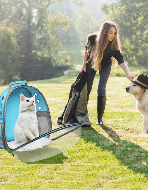 Load image into Gallery viewer, 476835251
